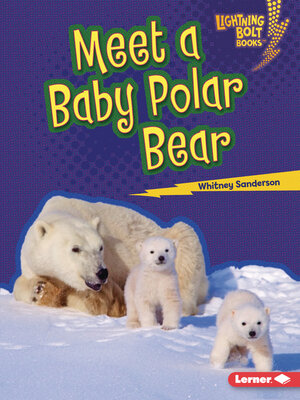 cover image of Meet a Baby Polar Bear